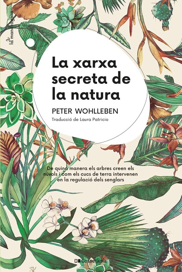 La xarxa secreta de la natura: De quina manera els arbres creen els núvols i com els cucs de terra intervenen en la regulació dels senglars (La Mandràgora, Band 16) Leisure, Home & Garden