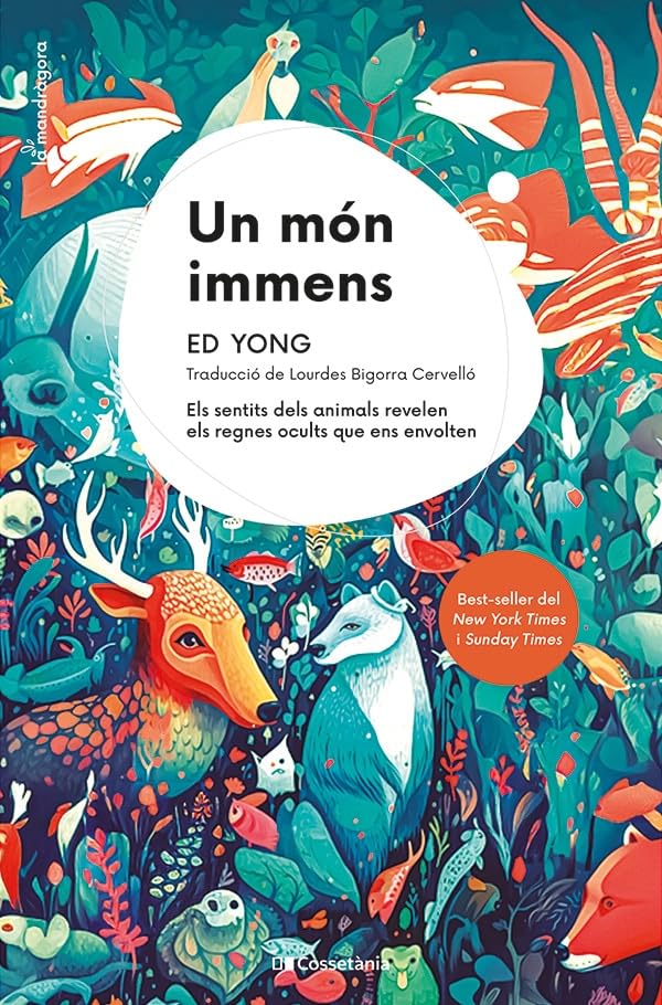 Un món immens: Els sentits dels animals revelen els regnes ocults que ens envolten (La Mandràgora, Band 17) Mathematics