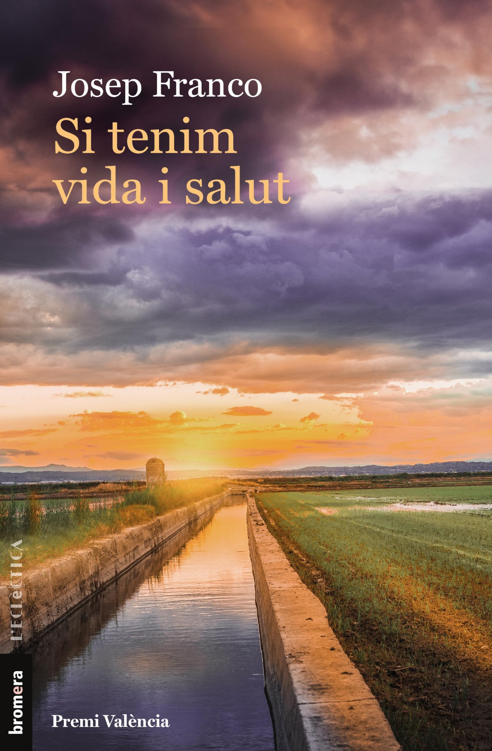 Si tenim vida i salut (L'Eclèctica) book