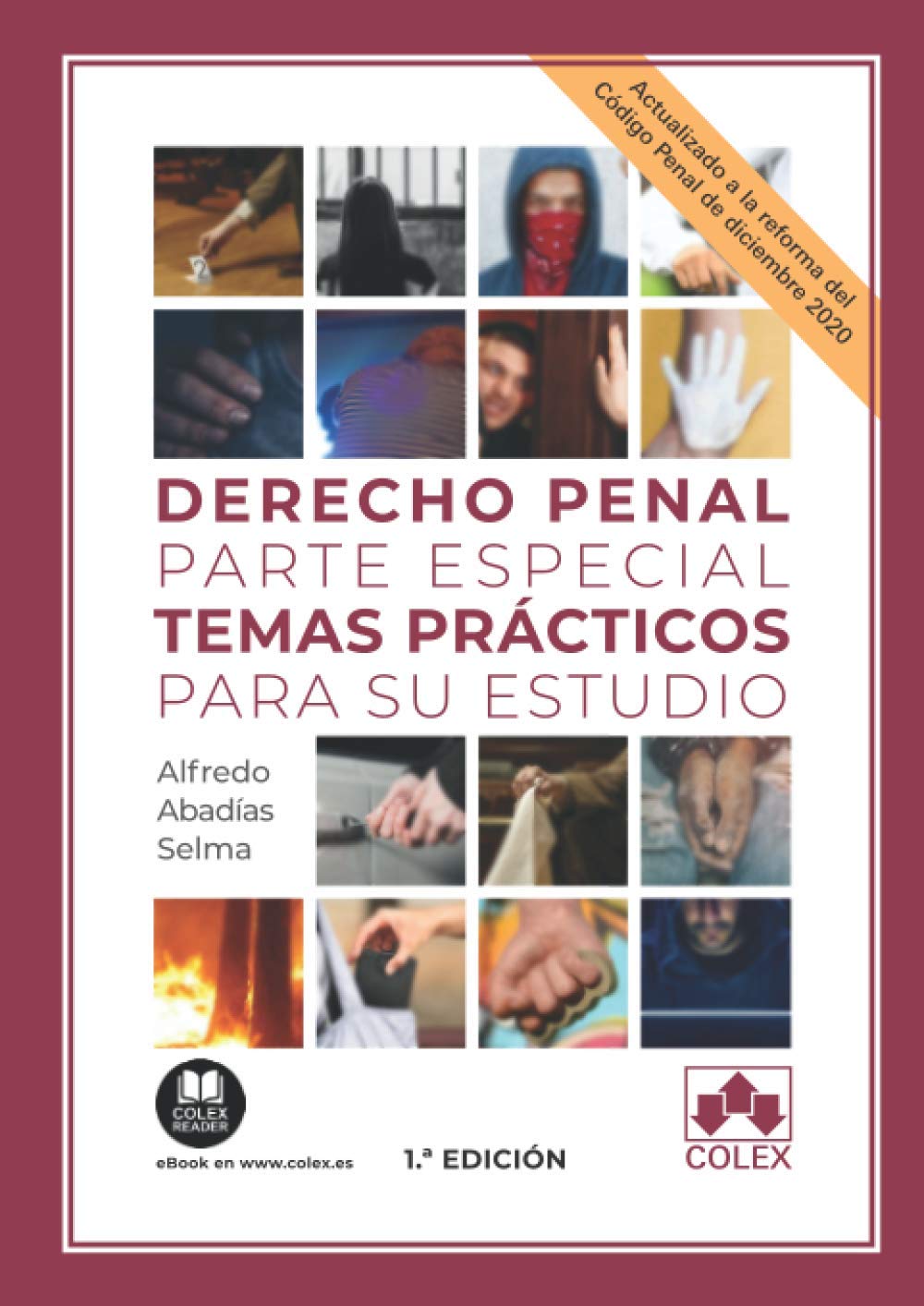 Derecho penal parte especial. Temas prácticos para su estudio: 1 (Monografía) book