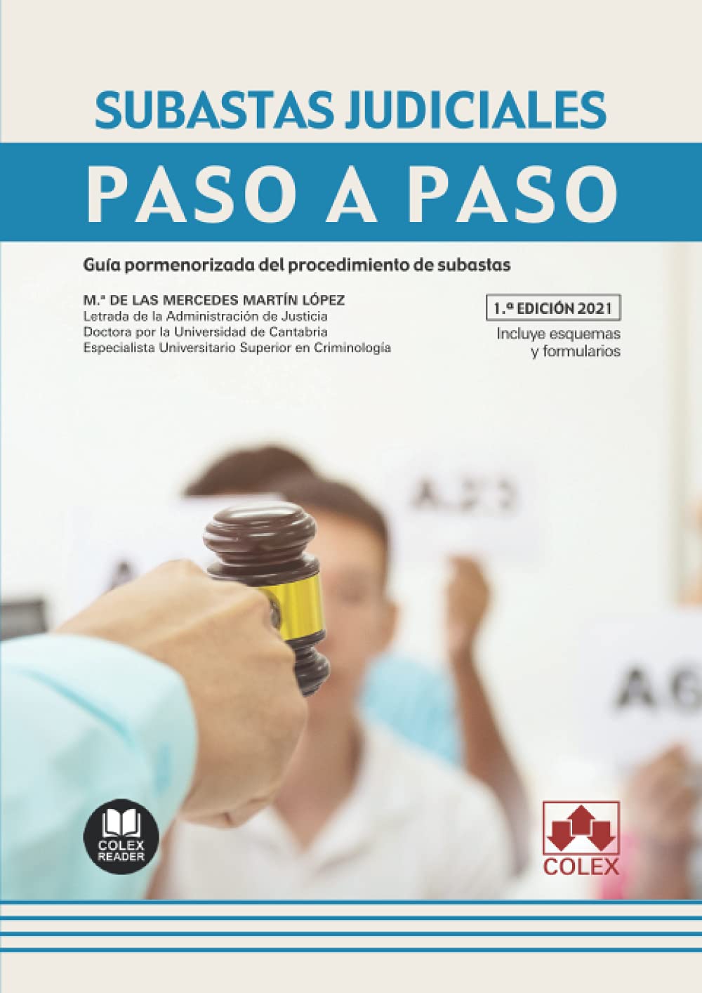 Subastas judiciales: Guía pormenorizada del procedimiento de subastas book