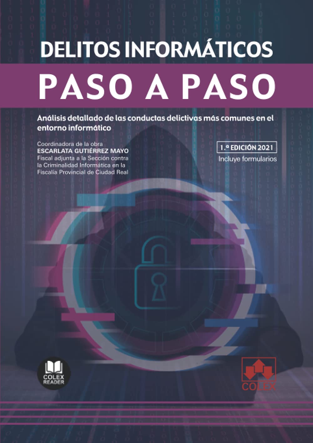 Delitos informáticos: Análisis detallado de las conductas delictivas más comunes en el entorno informático (Paso a Paso, Band 1) Law