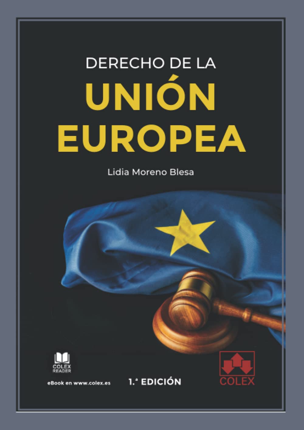 Derecho de la Unión Europea (Monografía, Band 1) Law