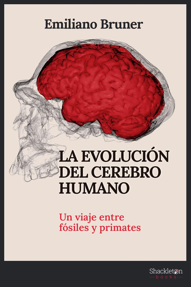 La evolución del cerebro humano: Un viaje entre fósiles y primates (Shackleton Discovery) Leisure, Home & Garden