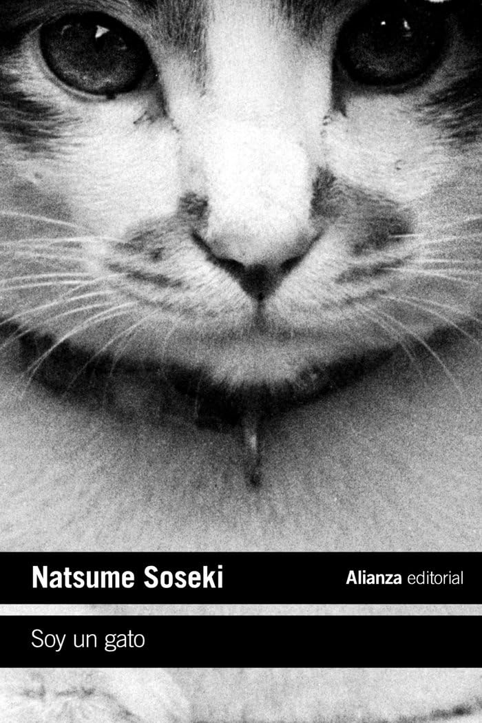 Product Image: Soy un gato