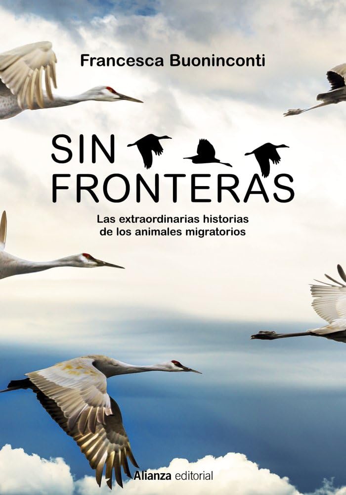 Sin fronteras: La extraordinaria historia de los animales migratorios (Libros Singulares (LS), Band 960) Leisure, Home & Garden