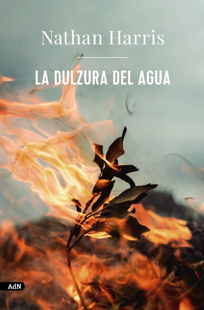 La dulzura del agua/ The Sweetness of Water book