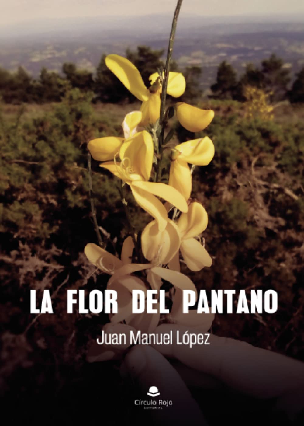 La flor del pantano Contemporary literature