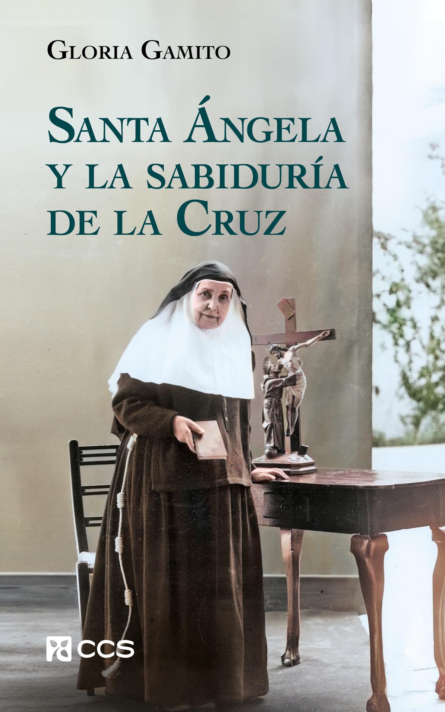 Santa Ángela y la sabiduría de la Cruz (Mensajeros, Band 12) Politics & Society