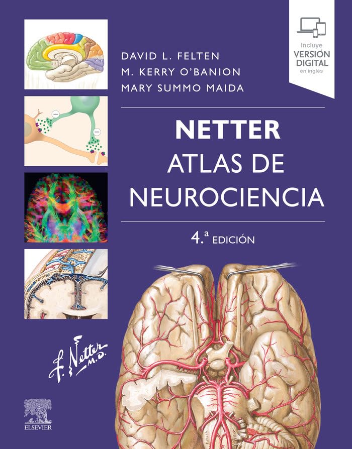 Netter. Atlas de neurociencia Medicine
