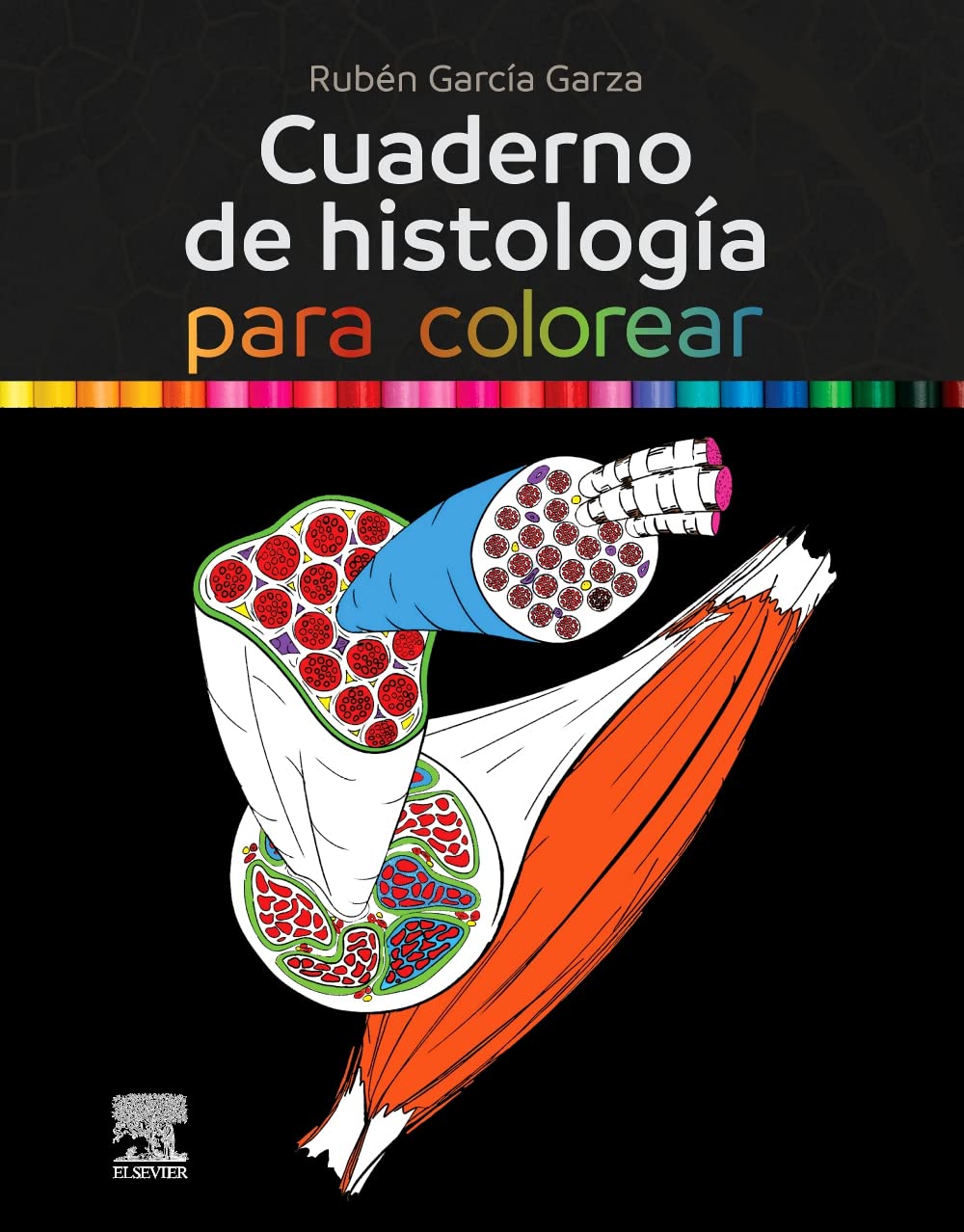 Cuaderno de histología para colorear Medicine