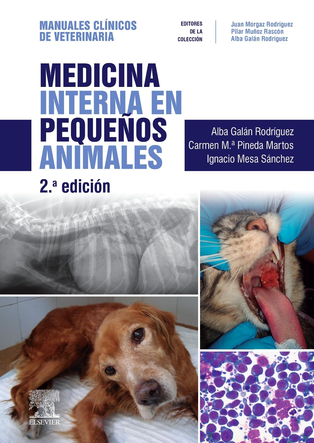 Medicina interna en pequeños animales: Manuales clínicos de Veterinaria Medicine