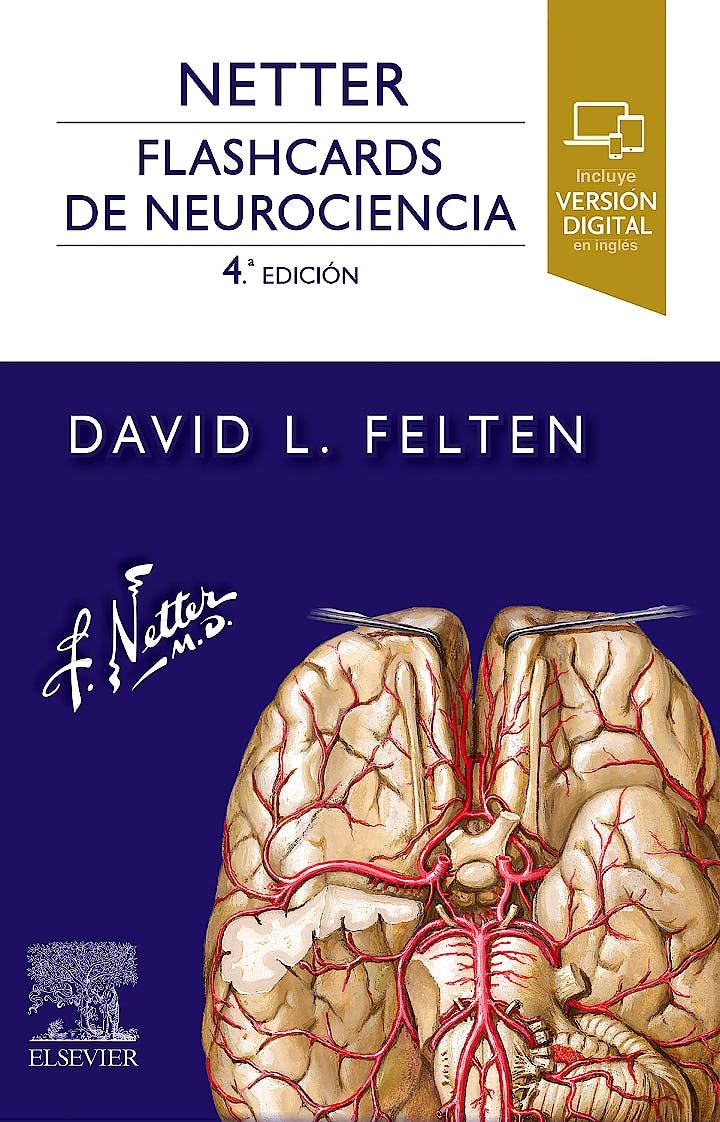 Netter. Flashcards de neurociencia Medicine