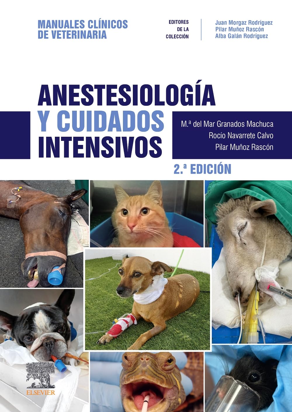 ANESTESIOLOGIA Y CUIDADOS INTENSIVOS 2¿ ED Medicine