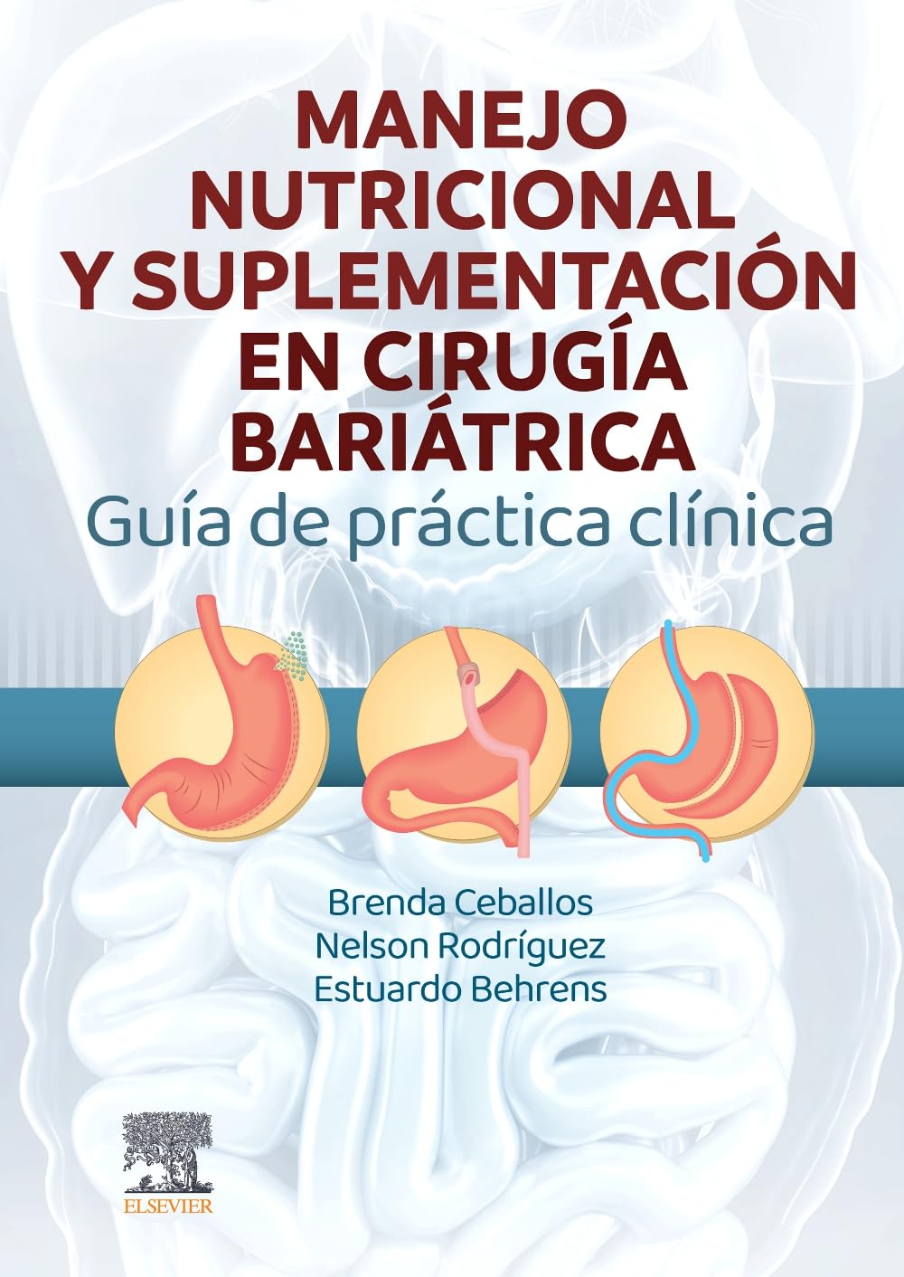 Manejo Nutricional y Suplementación en Cirugía Bariátrica: Guía de Práctica Clínica Medicine