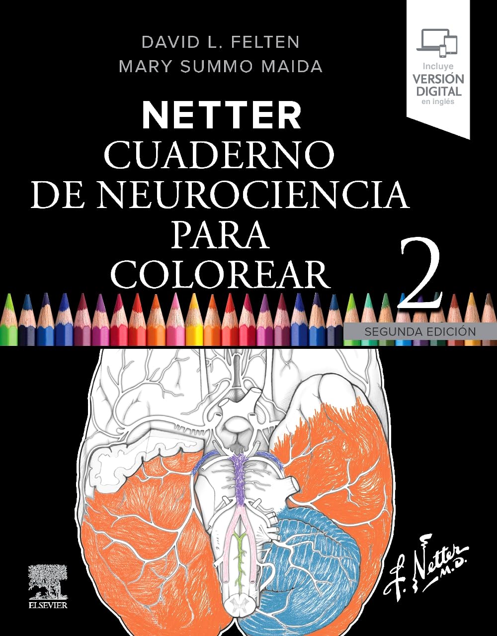 Netter. Cuaderno de neurociencia para colorear Medicine