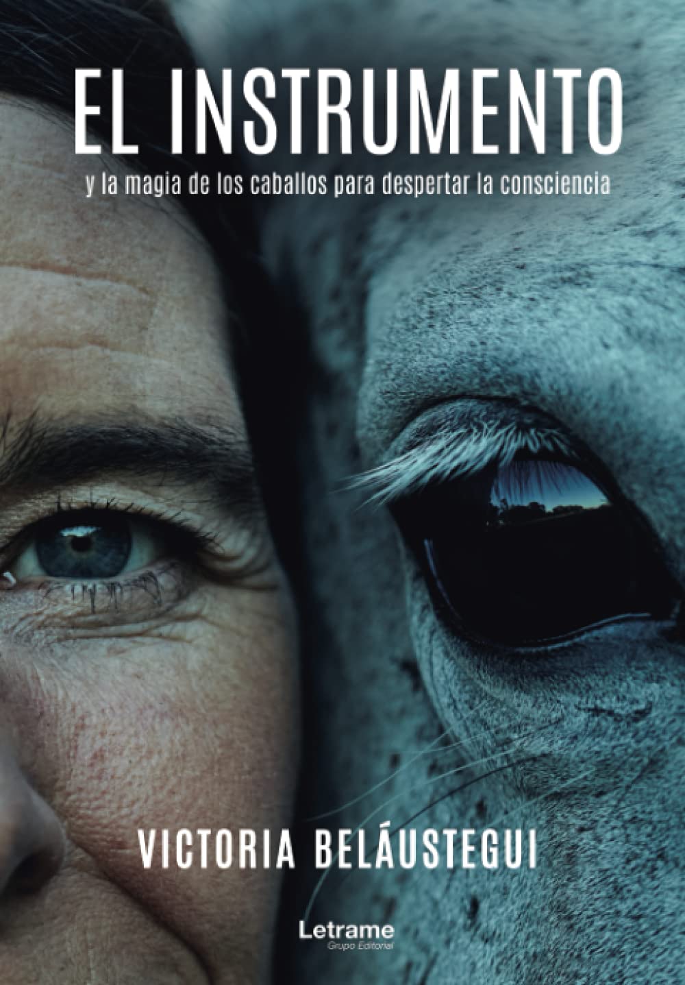 El instrumento y la magia de los caballos para despertar la consciencia (Autoayuda, Band 1) Self-help