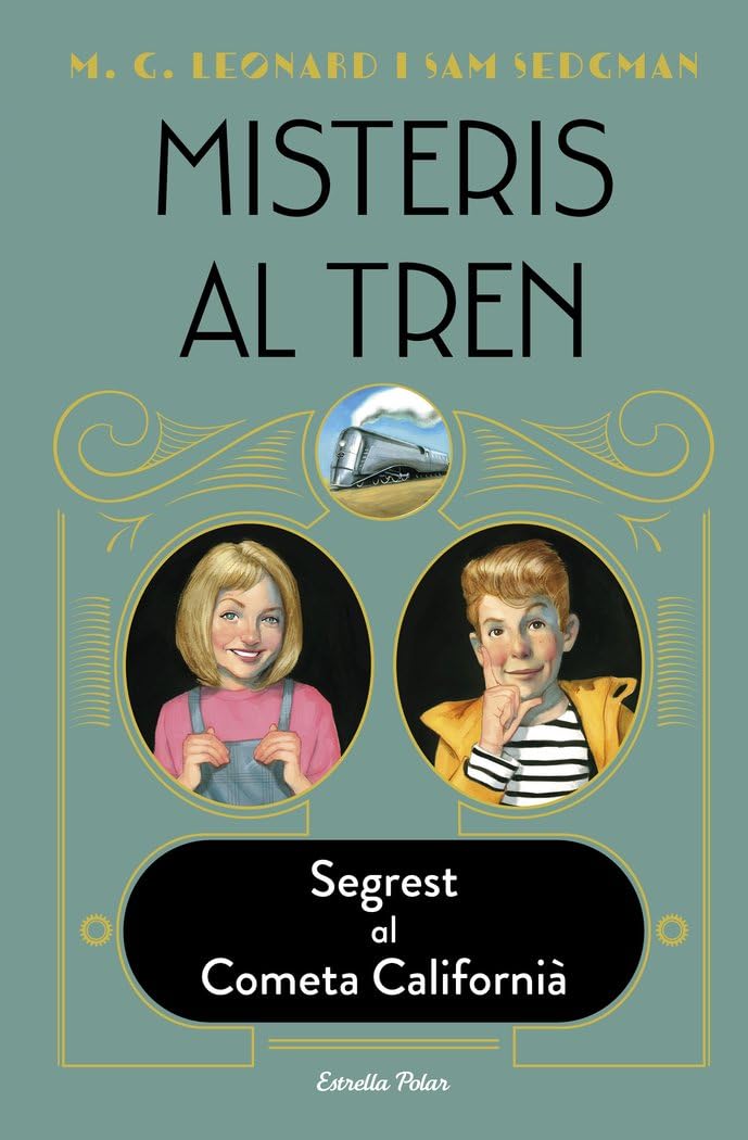 Misteris al tren 2. Segrest al Cometa Californià book