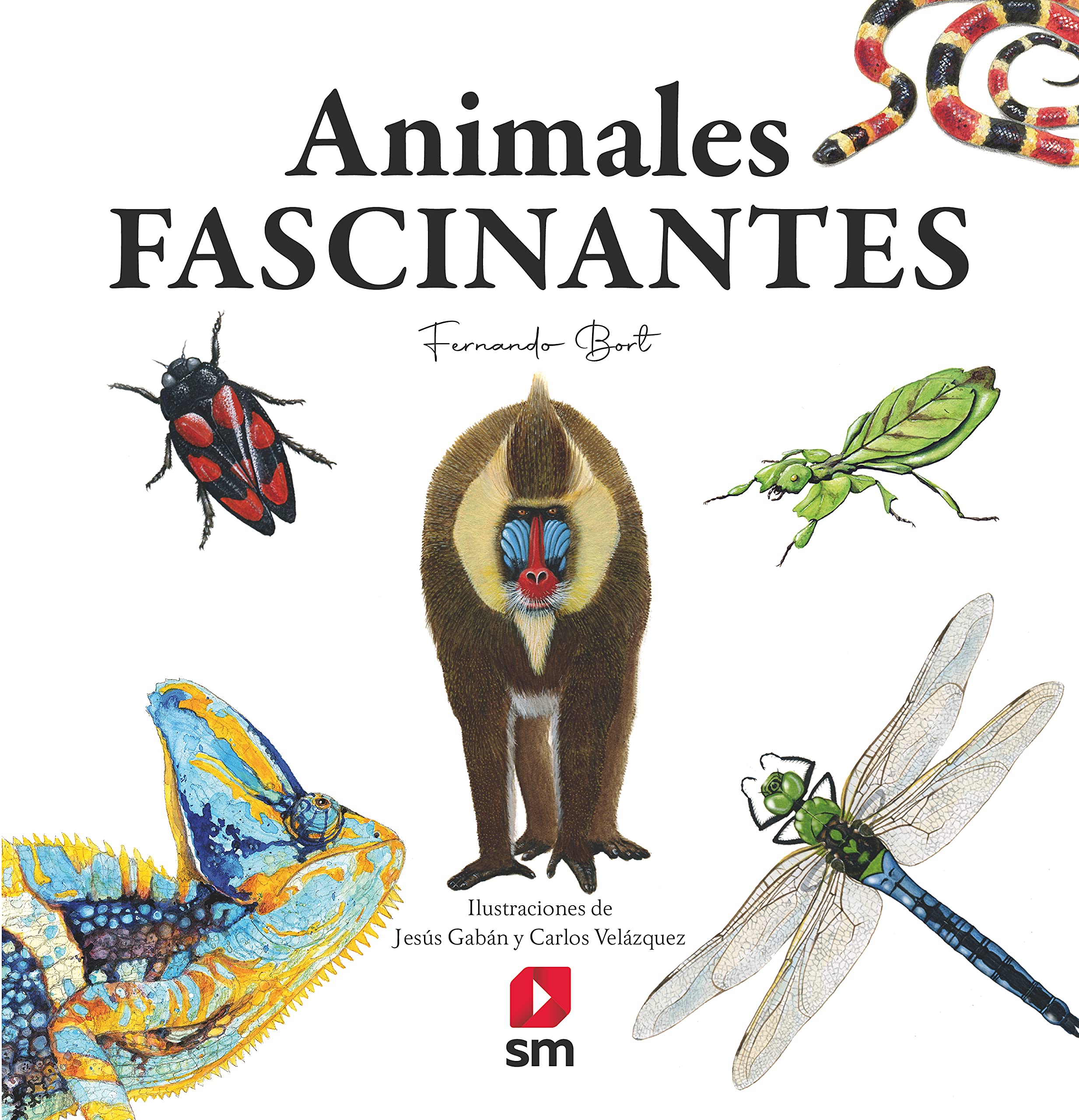 Animales fascinantes book