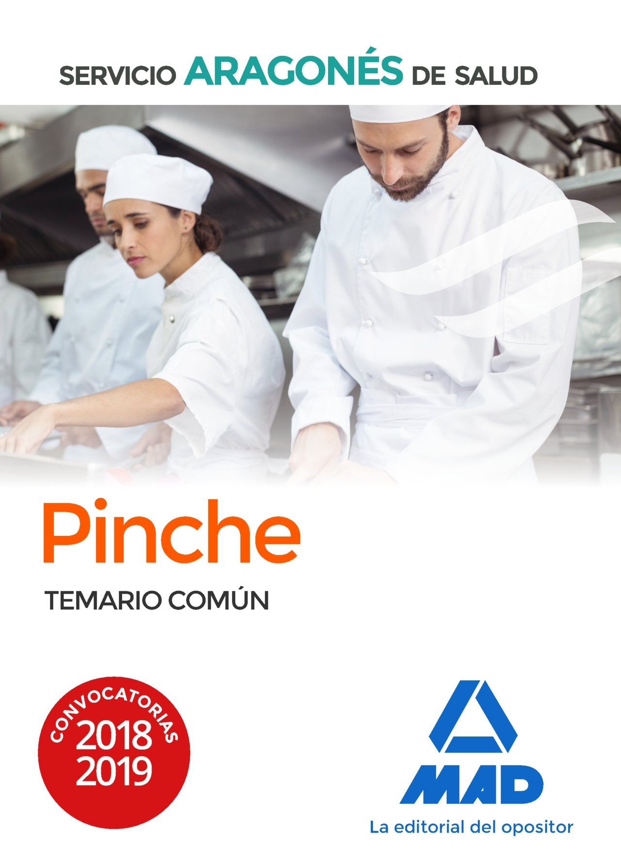 Pinche de Servicio Aragonés de Salud (SALUD-Aragón). Temario común. Books