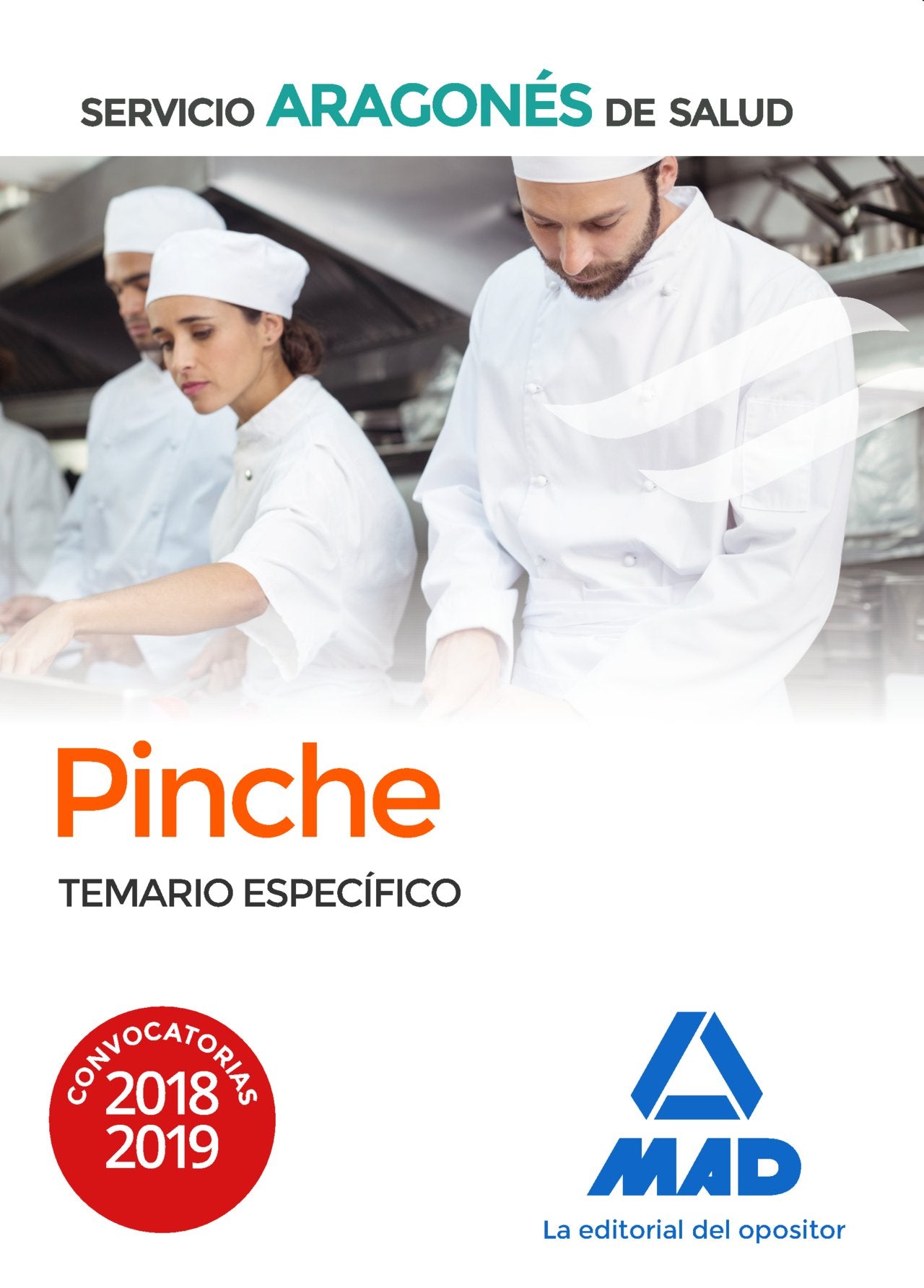 Pinche del Servicio Aragonés de Salud (SALUD- Aragón). Temario específico. Books