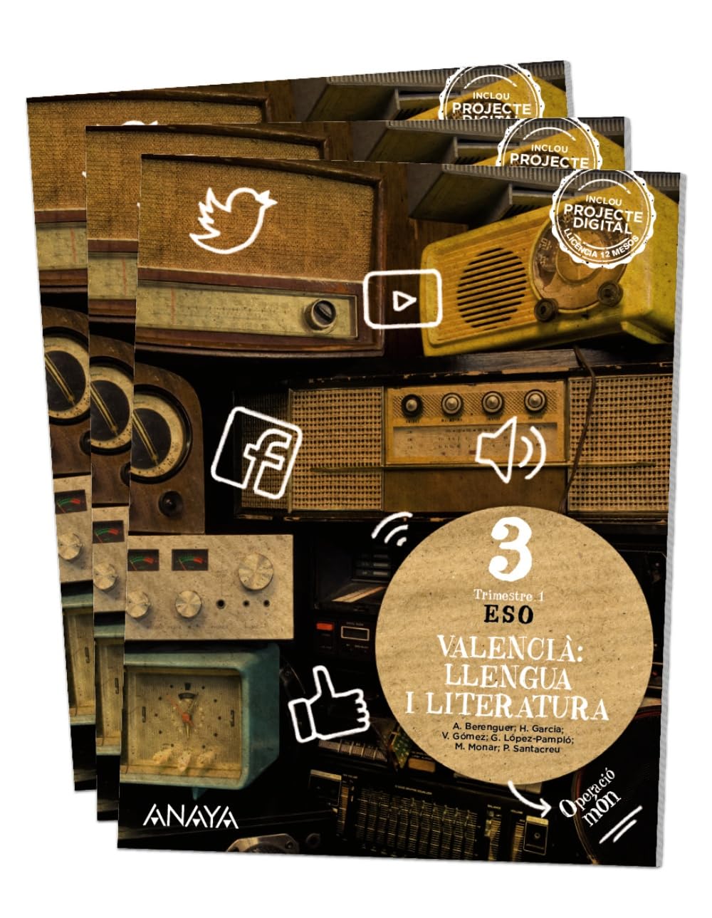 Valencià: llengua i literatura 3. book