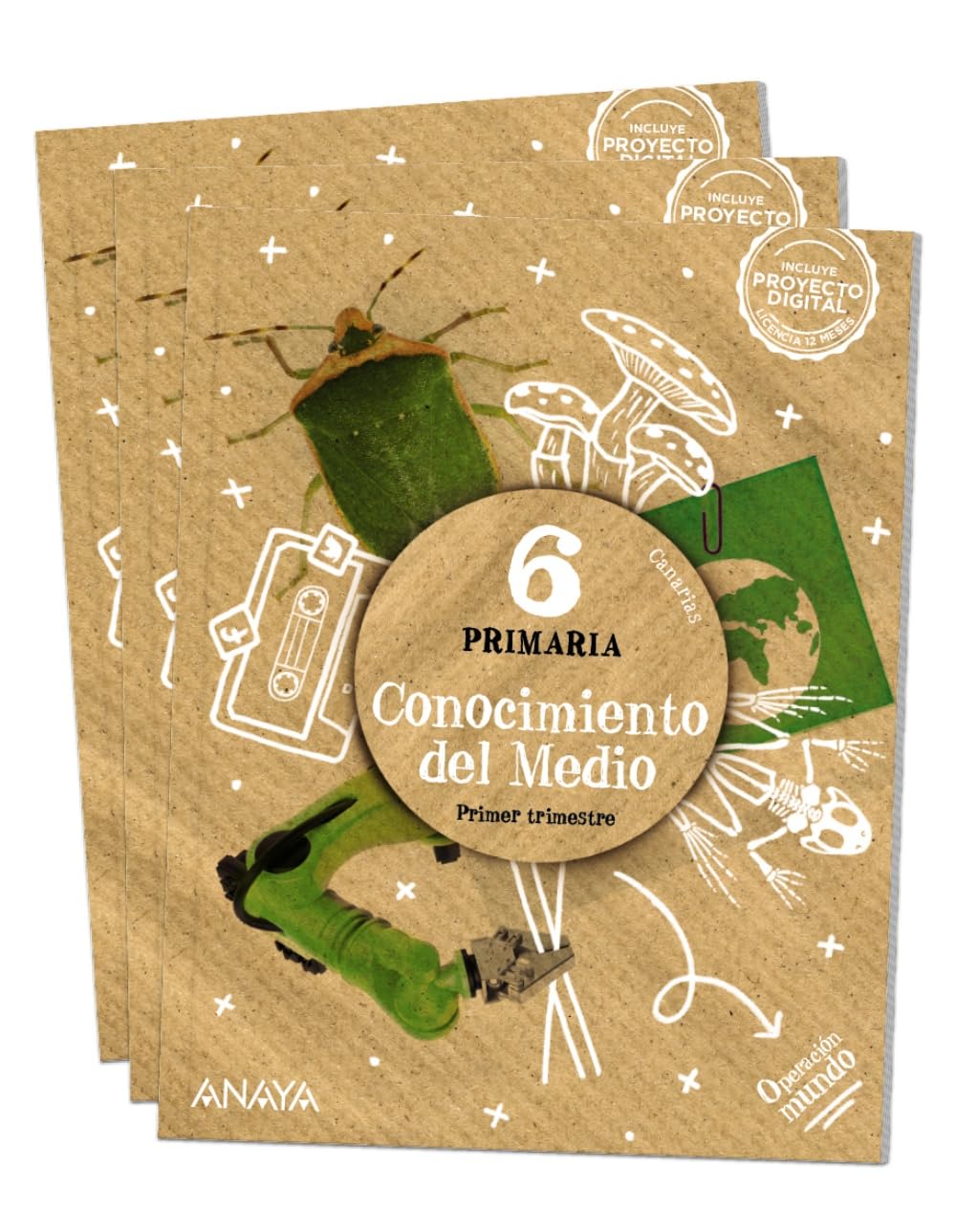Conocimiento del medio 6 book