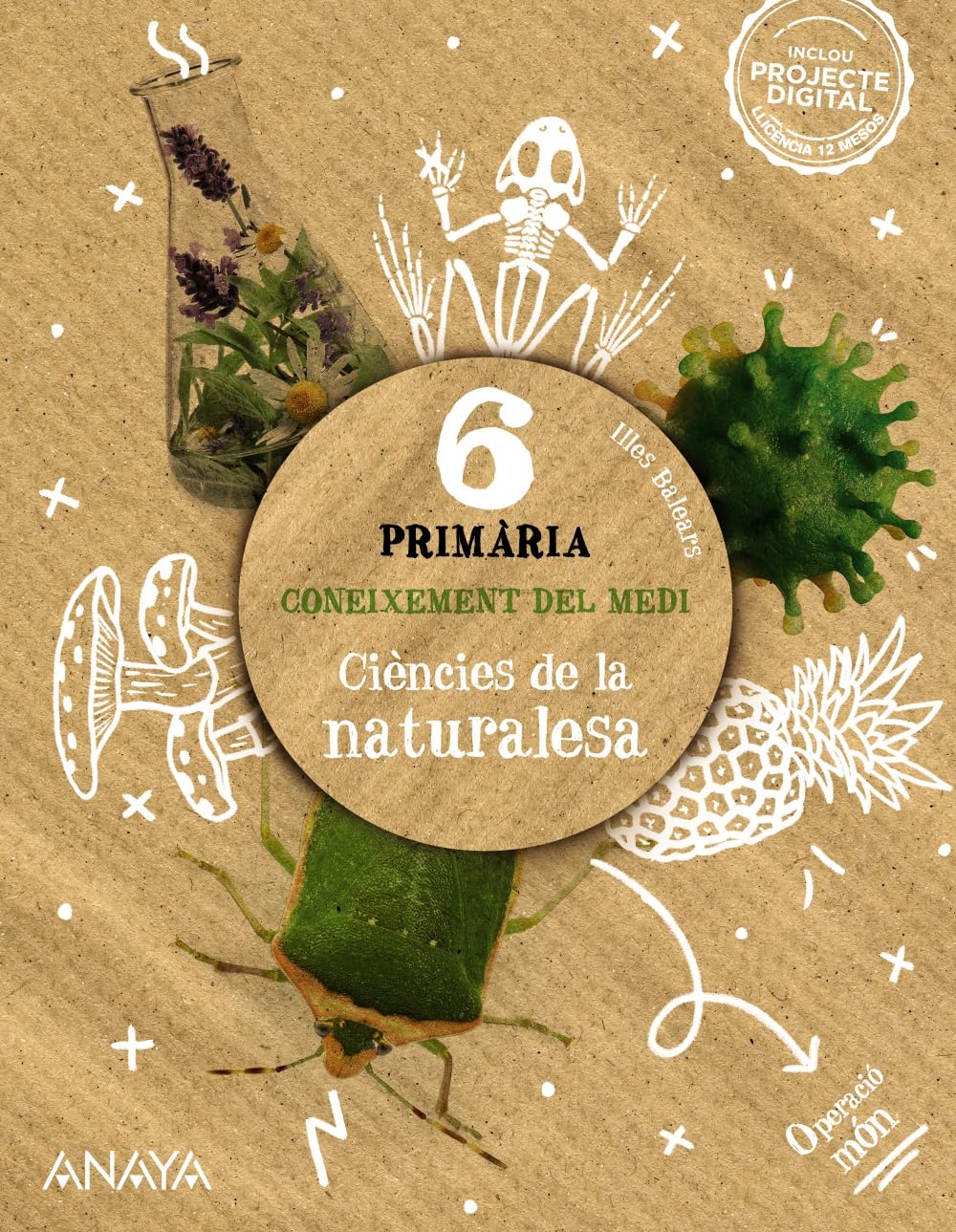 Coneixement del medi. Ciències de la naturalesa 6. book