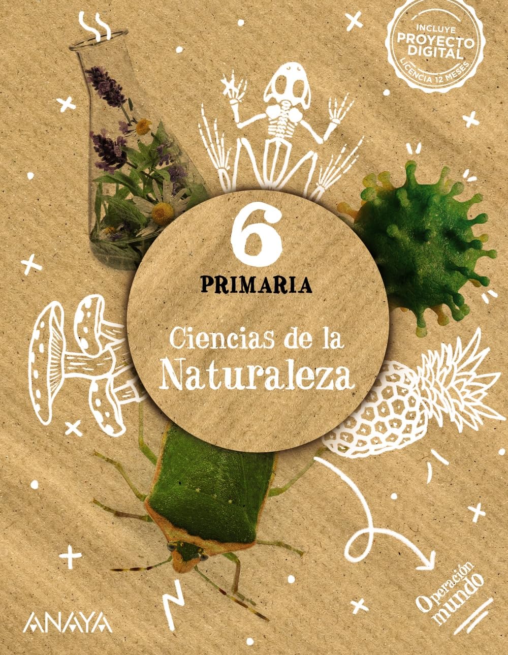 Ciencias de la Naturaleza 6 book
