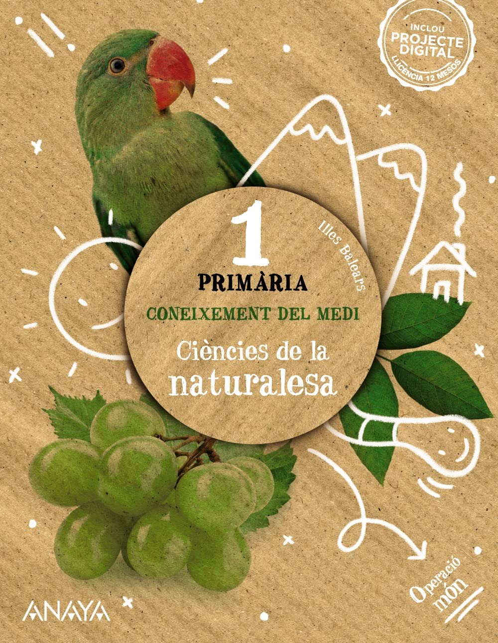 Coneixement del medi. Ciències de la naturalesa 1. book