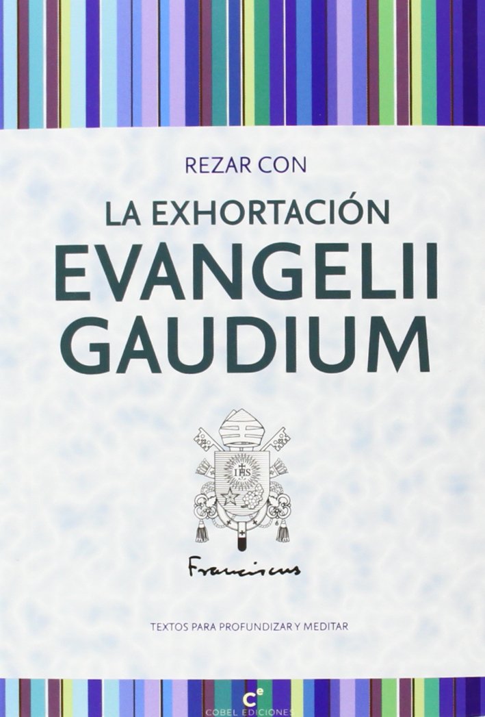 Rezar Con La Exhortacion Evangelii Gaudium Books