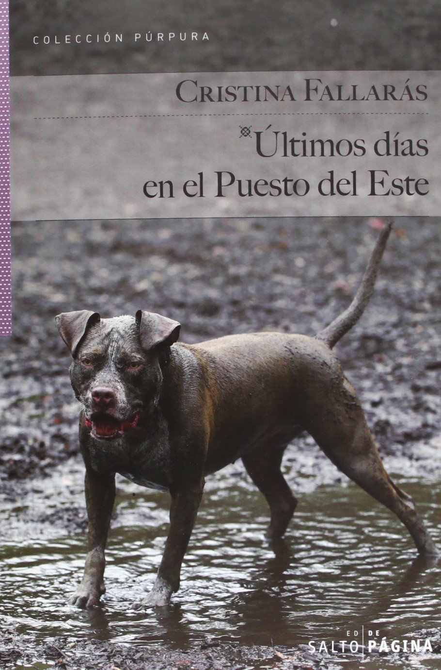 Últimos días en el puesto del Este Contemporary literature