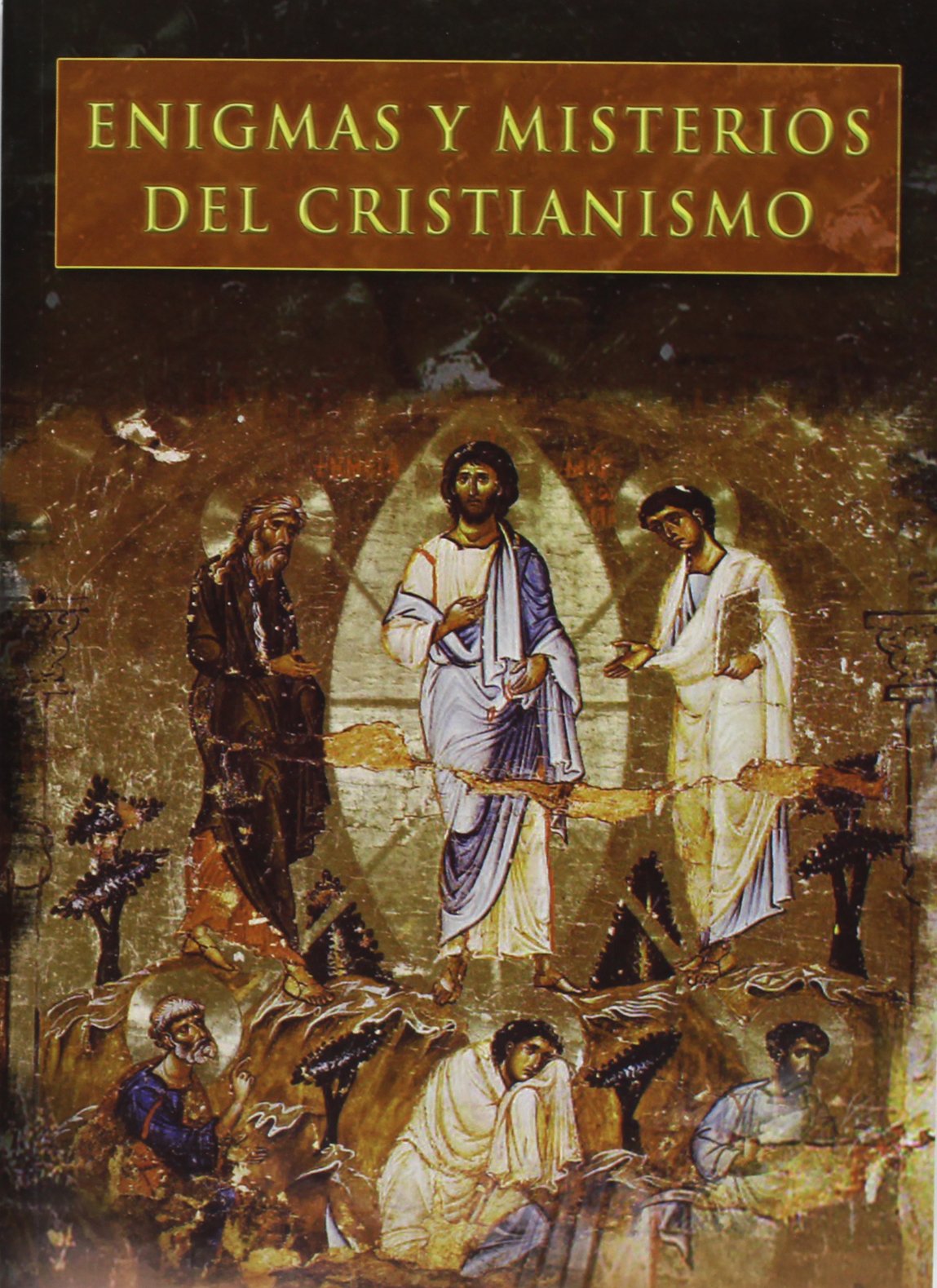 Enigmas y misterios del cristianismo book