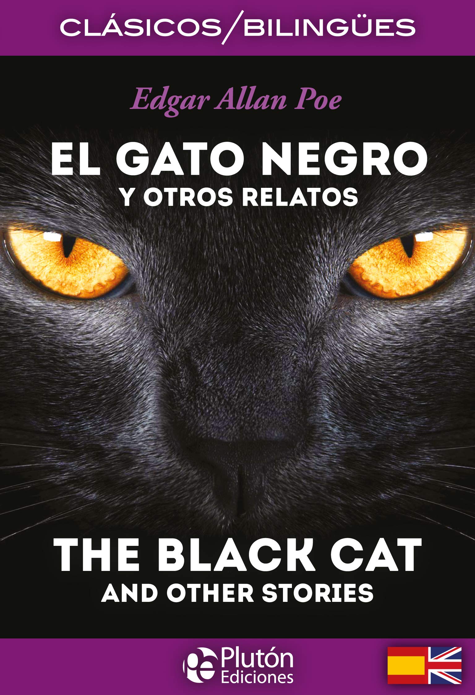 El gato negro y otros relatos = The black cat and other stories Social Sciences Books