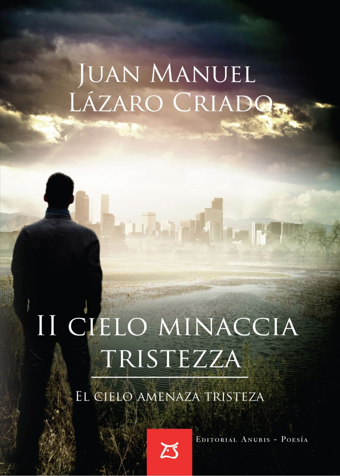 II Cielo Minaccia Tristezza book