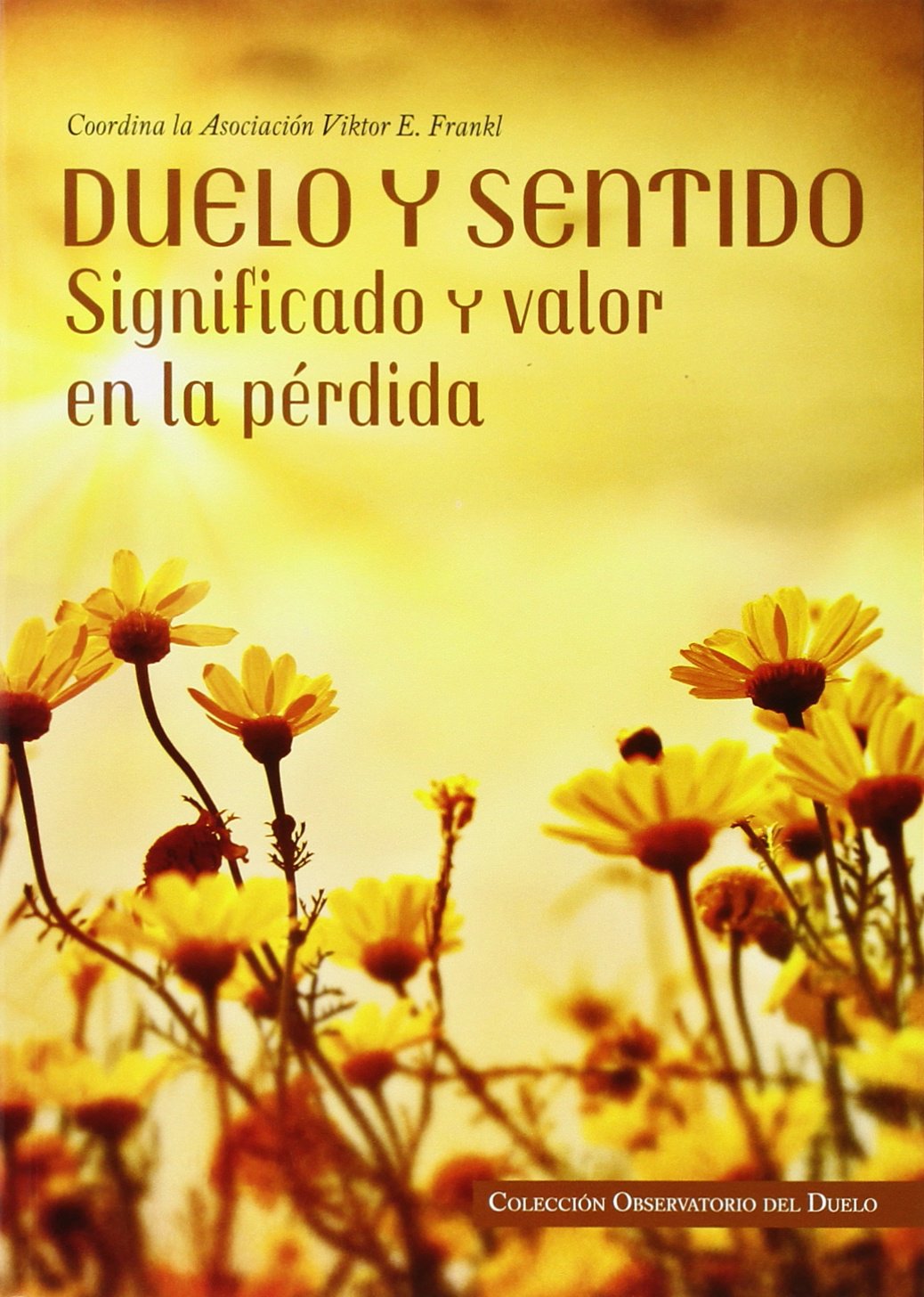 Duelo y sentido: significado y valor en la pérdida book