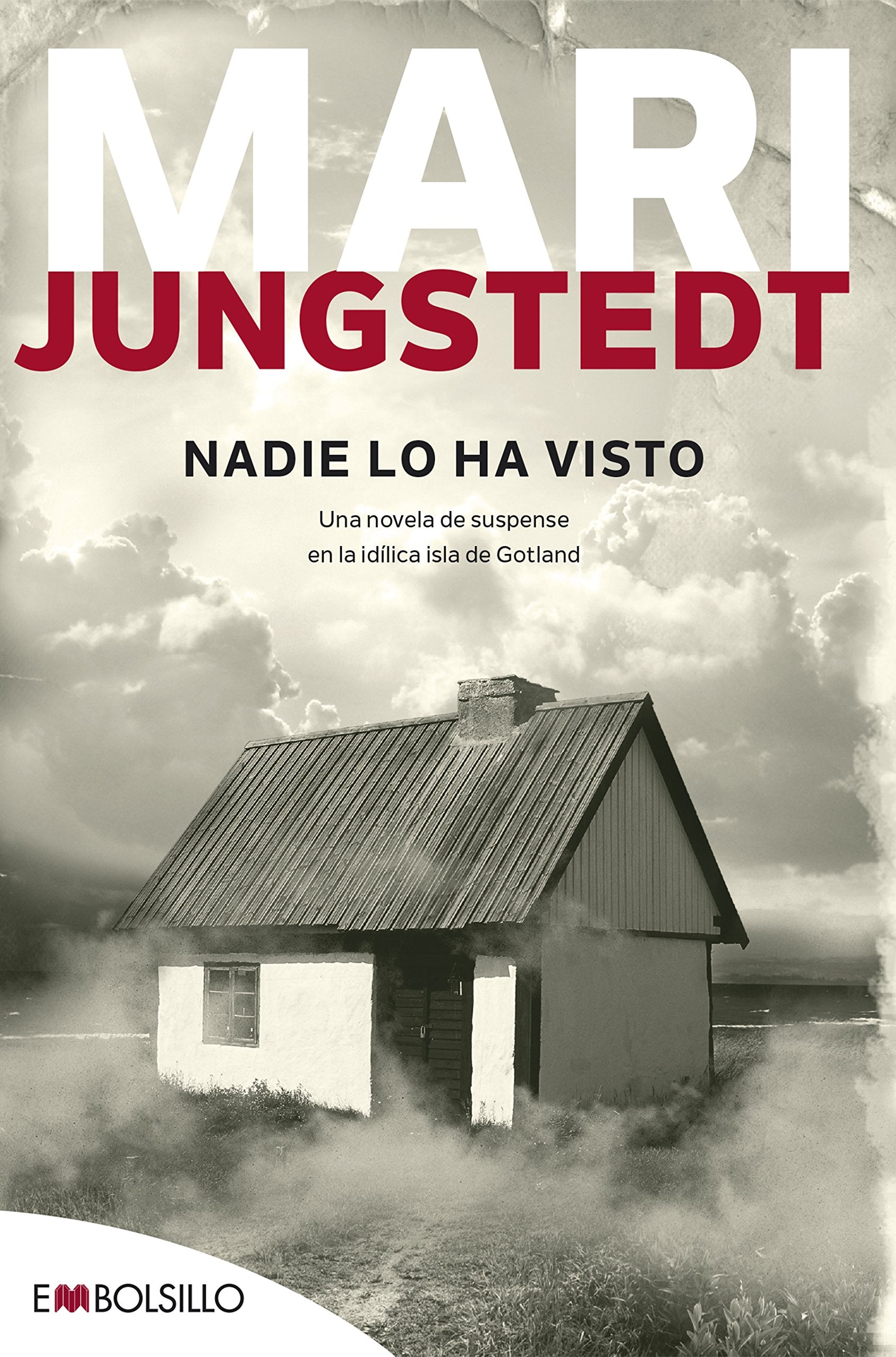 Nadie lo ha visto book