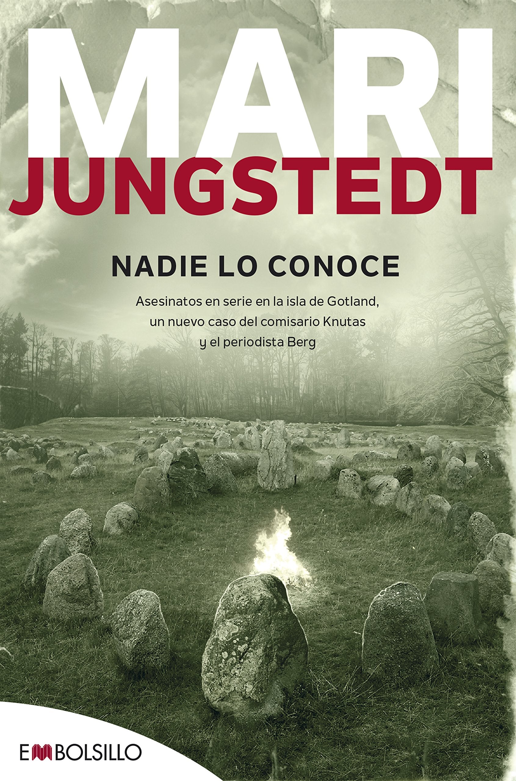 Nadie lo conoce : asesinatos en serie en la isla de Gotland, otro caso para el comisario Knutas y el periodista Berg Action & Adventure