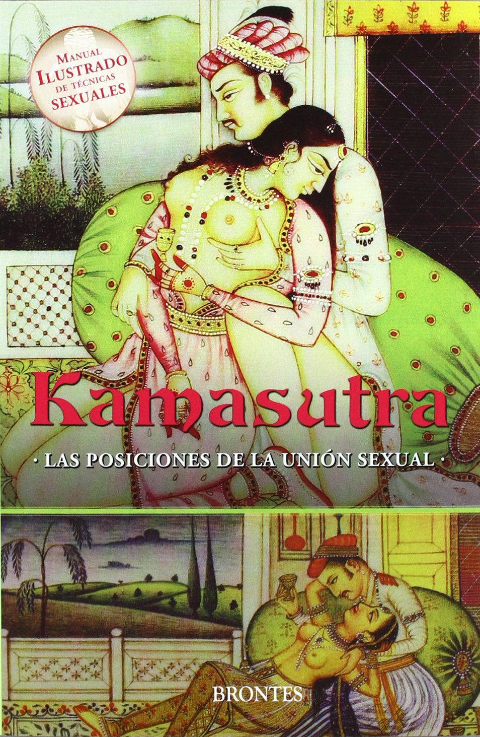 Kamasutra : las posiciones de la unión sexual book