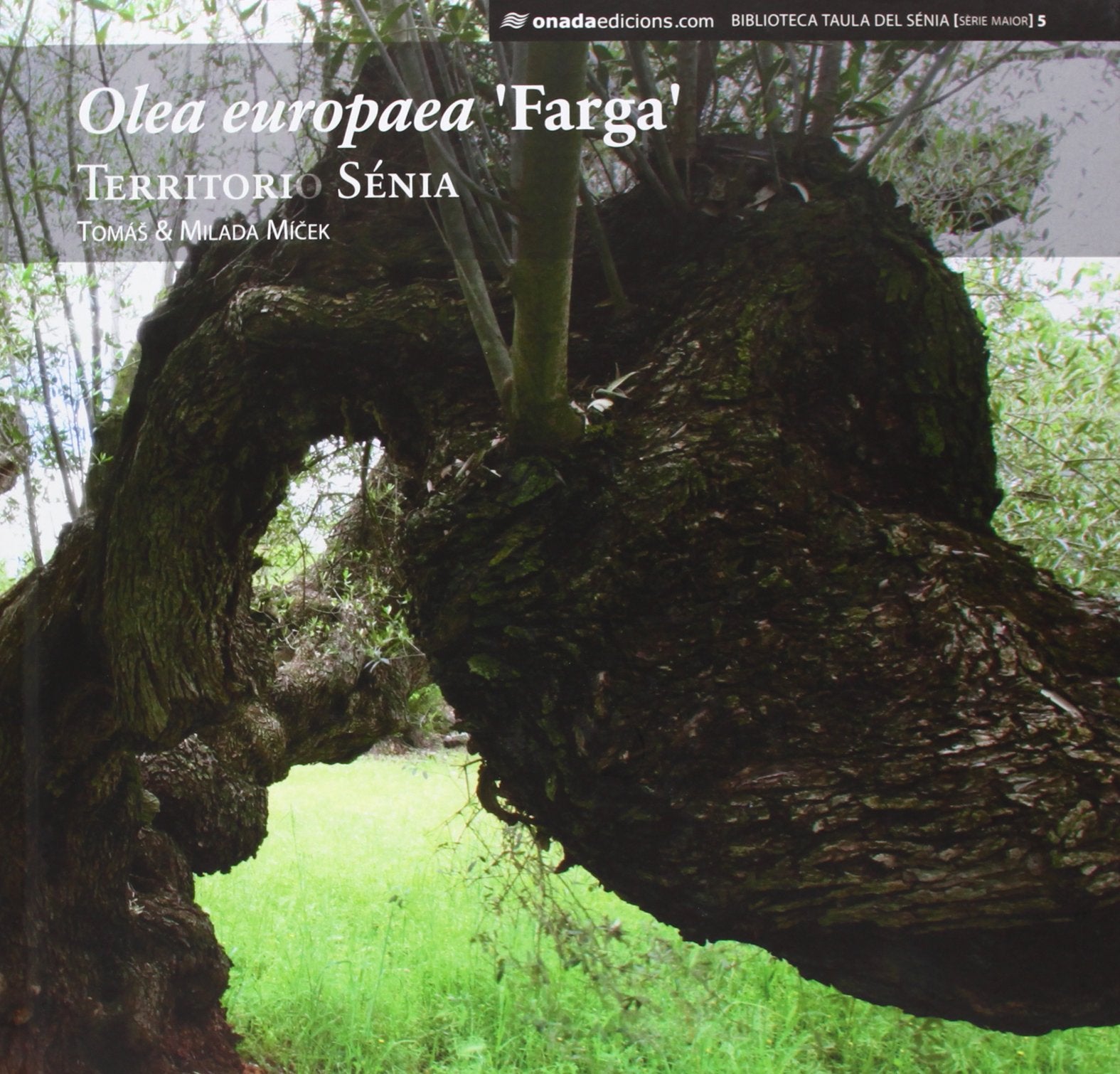 Olea europaea? Farga? : Territori Sénia book