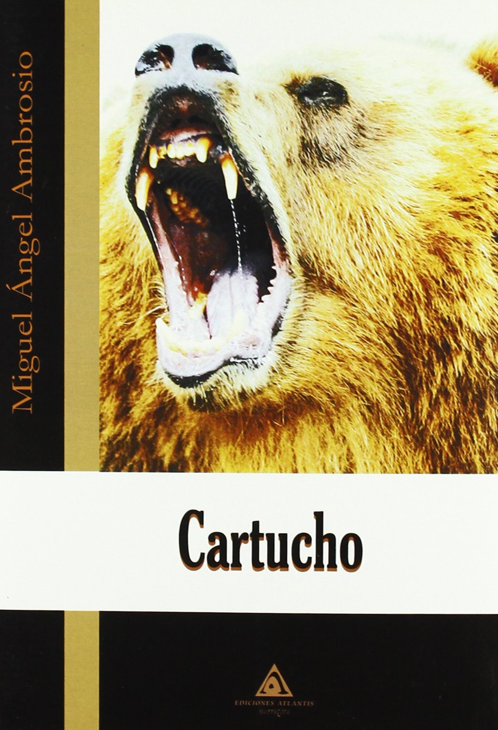 Cartucho book