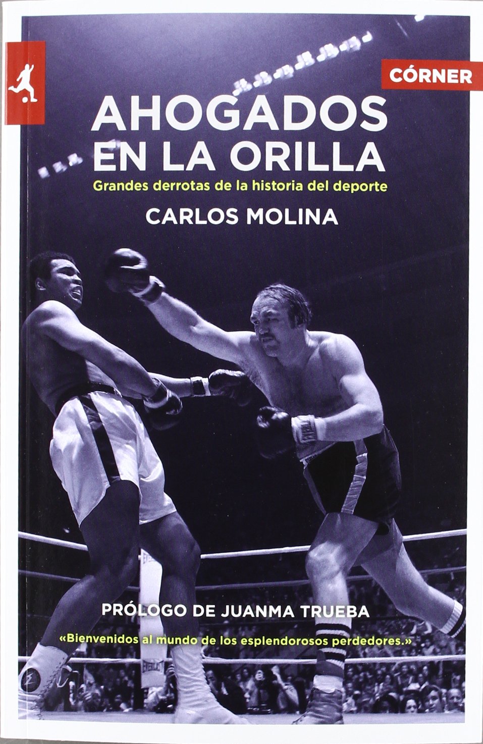 Ahogados en la orilla: Grandes derrotas de la historia del deporte book