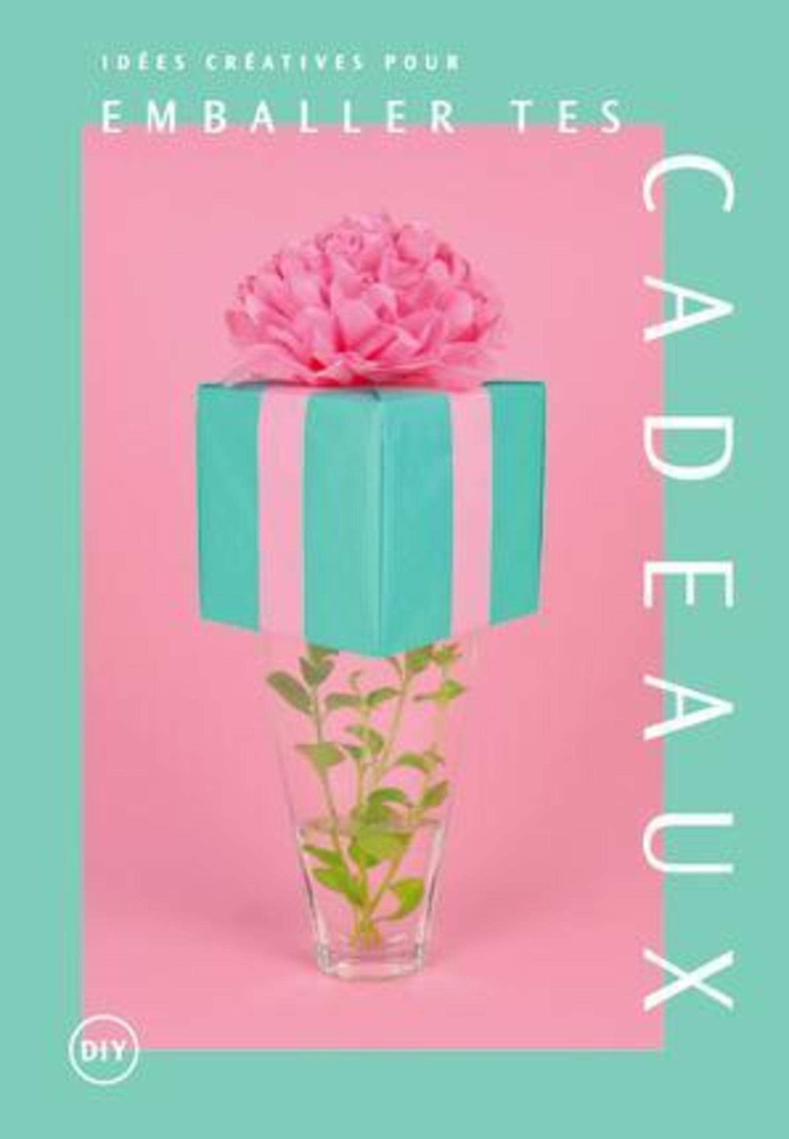 Idées créatives pour de beaux emballages cadeaux book