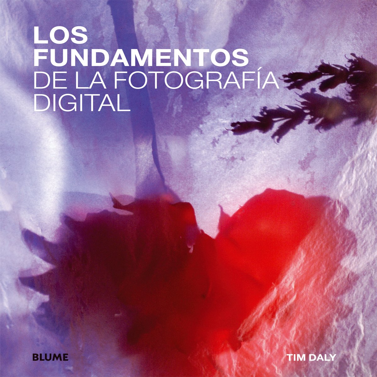 Los fundamentos de la fotografía digital book