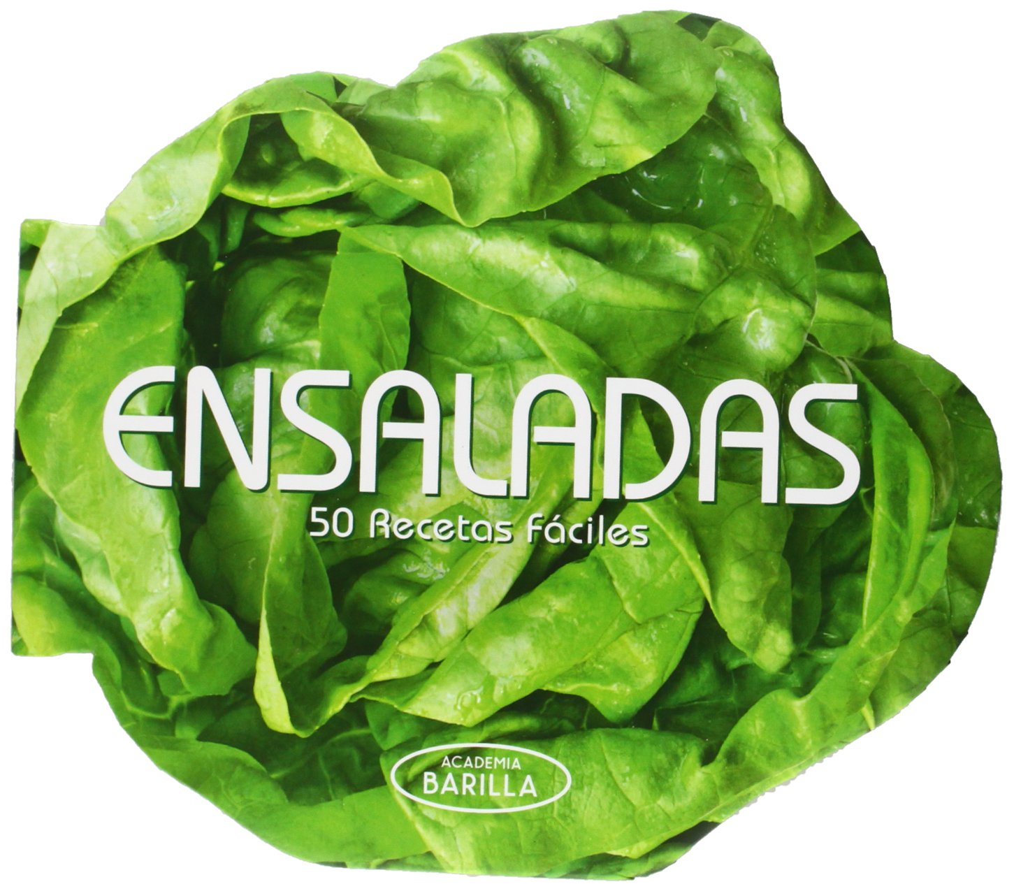 Ensaladas: 50 recetas fáciles book