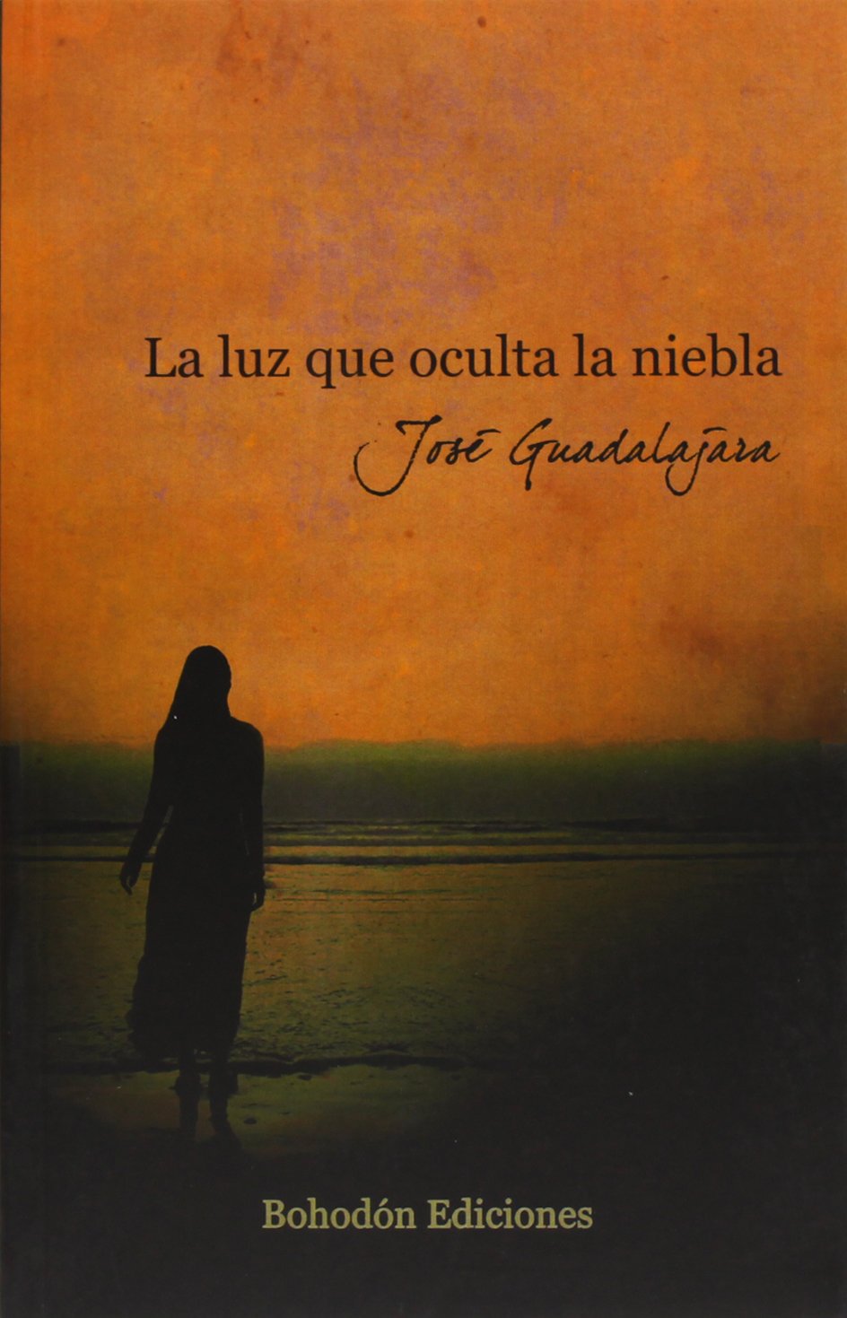 La luz que oculta la niebla book