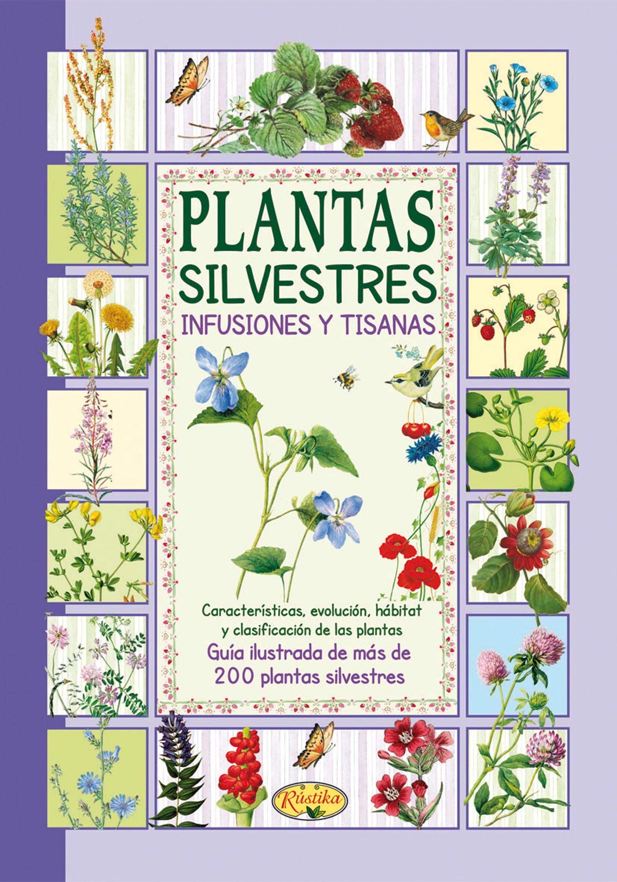 Plantas silvestres, infusiones y tisanas book