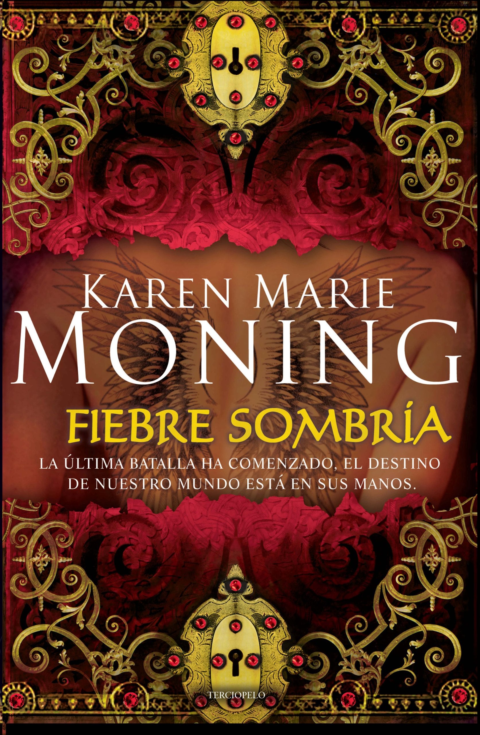 Fiebre sombria / Shadowfever book