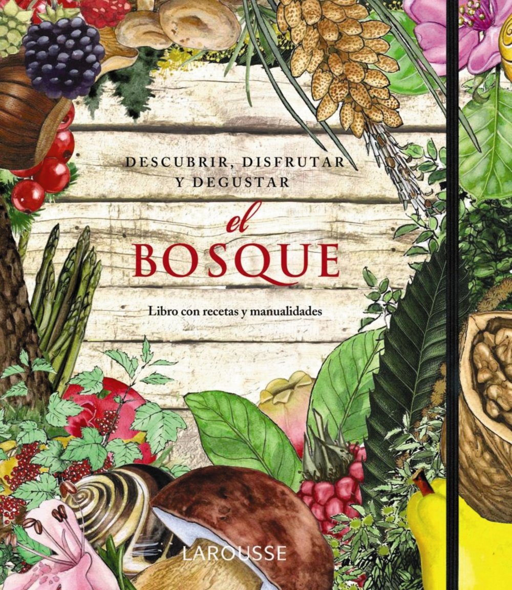 El bosque / The Forest: Descubrir, disfrutar y degustar / Discover, Enjoy and Taste book