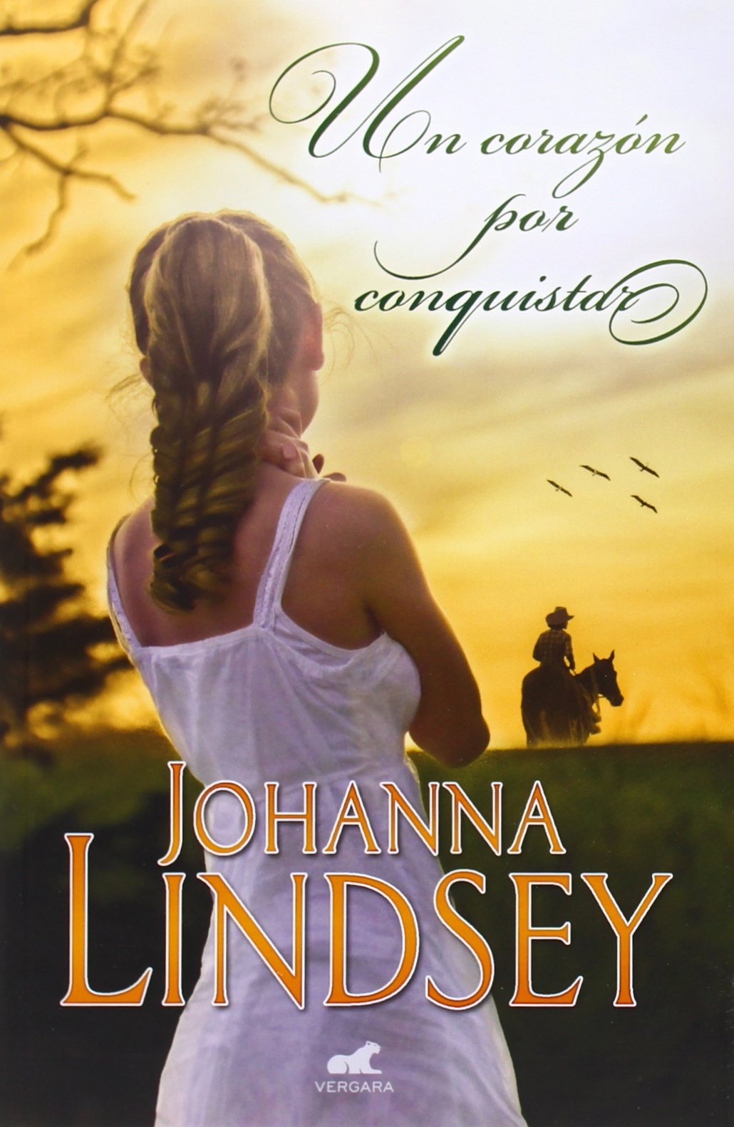 Un corazón por conquistar / One Heart To Win book